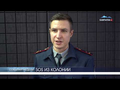БЫДЫДЫЩ? | Новости Камчатки | Происшествия | Масс Медиа