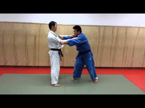 Tai Otoshi Instruction by Shintaro Higashi