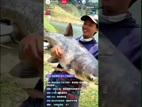 wuer qingkuang #tegek #fishing #fishingrod