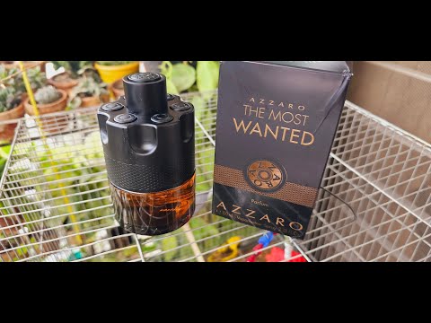 Azzaro The Most Wanted Parfum Fragrance (2022)