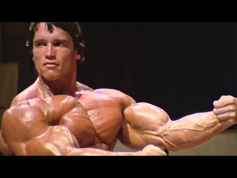 Lady Gaga - Dance In The Dark ( Mtheuz Remix ) - Arnold Schwarzenegger Motivation 🔥🔥