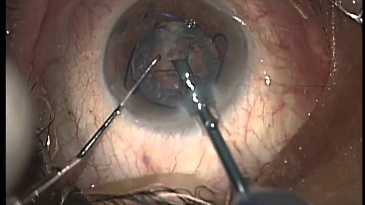 Alessandro Sammartino-4