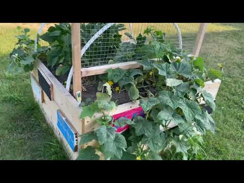 Exploring Whitby, Ontario, Canada 🇨🇦 CE Broughton Public school, huge land scaping & running track
