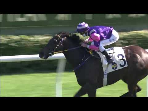 1/1/2021 (309) Yes We Can -  Z Purton