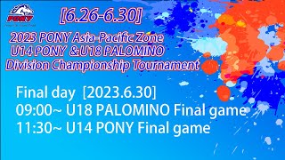 [分享] 小馬聯盟U14台灣代表隊因球棒問題被取消冠軍