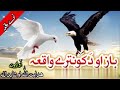 Baz Ao Kontara -New Pashto Naat - Raghla Kontara Da Asmana Nabi دہ باز او د کو نترے واقعہ. خئستہ