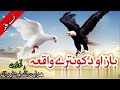 Baz Ao Kontara New Pashto Naat Raghla Kontara Da Asmana Nabi دہ باز او د کو نترے وا�
