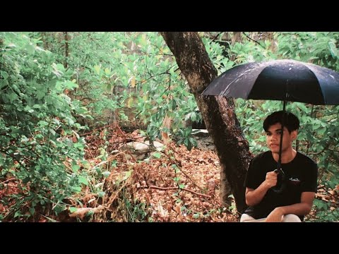 pickle beats - hit it