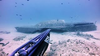 Spearfishing Croatia 2018/ Podvodni ribolov Croatia 2018 ( mali mix ) Spearfishing Croatia 2018/ Podvodni ribolov Croatia 2018 ( mali mix )