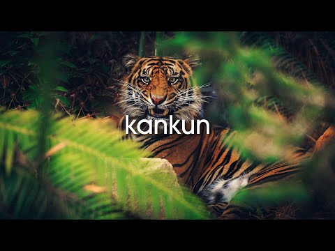 Heavy Duty & Rowsfred - Kankun