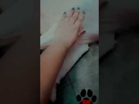 #My Leo ❤️#love🐶#sravya's world