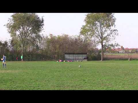 Ragbi Savez Srbije / RK Rad - RK Dinamo 1954