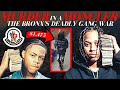 Murder In A Moncler The Bronx S Deadly Gang War