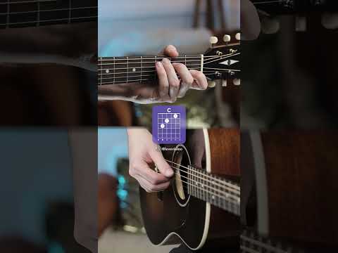 Memories - Renê Faller