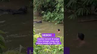 Download lagu kejadian kemarin di sungai hutan larangan warga yang sedang menjala ikan tiba tiba #shortsviral mp3 Download lagu kejadian kemarin di sungai hutan larangan warga yang sedang menjala ikan tiba tiba #shortsviral mp3