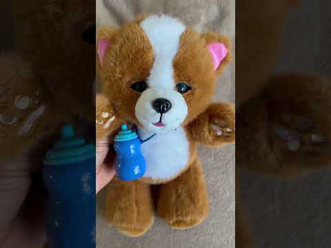 фото мягкая интерактивная игрушка собака (музыка, двигаются глазки, повторяет, волшебная бутылочка) 0