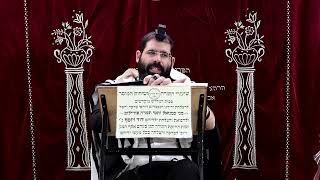 זבחים דף ט"ז ע''א ¤ הרב נתנאל אברז'ל ¤ בית הכנסת "בית מרדכי" (מוסדות תורת דוד) - התמונה מוצגת ישירות מתוך אתר האינטרנט יוטיוב. זכויות היוצרים בתמונה שייכות ליוצרה. קישור קרדיט למקור התוכן נמצא בתוך דף הסרטון