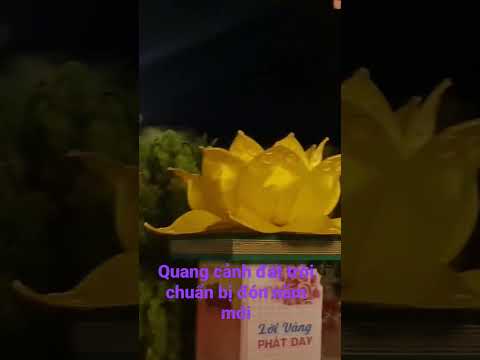 30 tết tại chùa Trang Nghiêm - Pakse, Lao