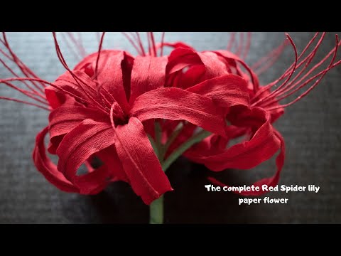 The Complete higanbana (Red Spider Lily) paper flower