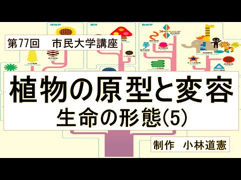地域科学課程 植物の原型と変容・生命の形態(5)