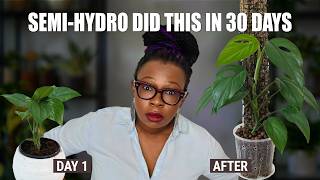 4 Plants, 1 Method - Did Semi Hydroponics Deliver? | Verdant Dwellings Mystery Box 30-Day Results