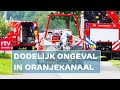 Man overlijdt bij ongeval & strijd om stationshond Mannes | RTV Drenthe