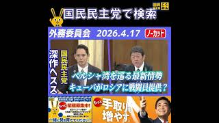 国民民主党 深作ヘスス 外務委員会 4月19日