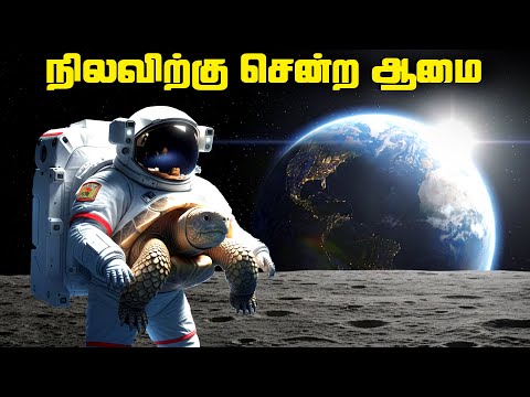 The turtle that went to the moon - Zond Program