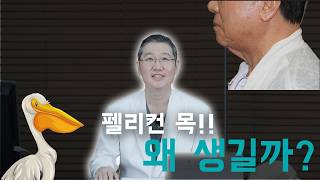 펠리컨처럼 늘어진 목주름... 왜 생…