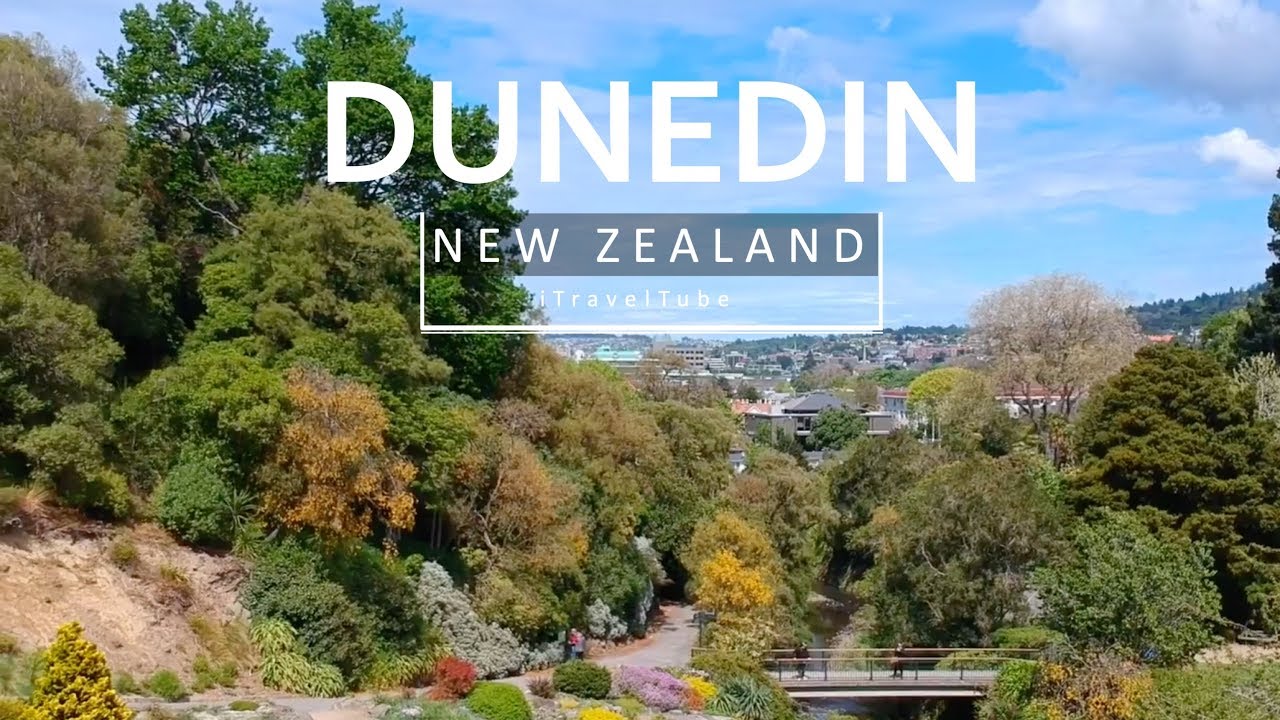 Visitors enjoying the serene ambiance of Botanic Garden amidst nature