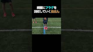 綺麗にフラグ回収する虫眼鏡【東海オンエア】