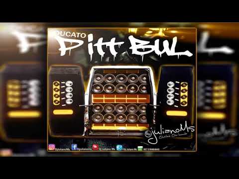 Novo brinquedinho ducato pitbull