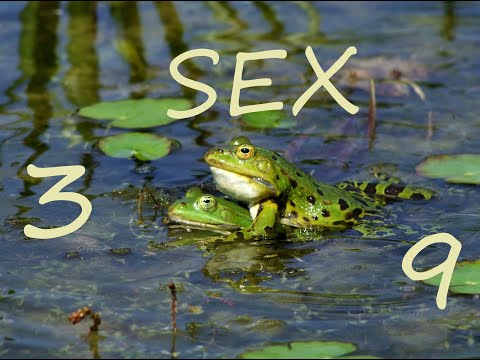 NUMEROLOGISCHE DEUTUNG DER ZAHLEN 3 – 6 – 9