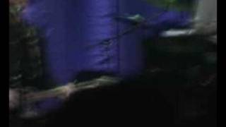 Nick Cave - Lovely Creature (Olympia, Paris, 09/06/2008)