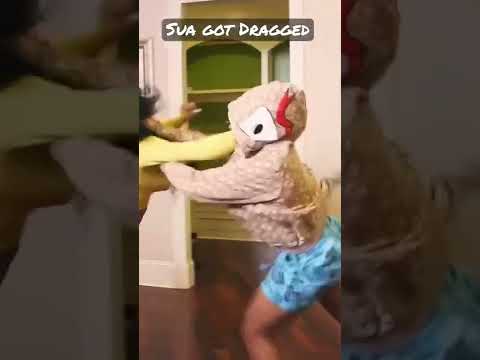 Chrisean vs Sua #baddiessouth #baddies #chriseanrock #shorts #short #ytshorts