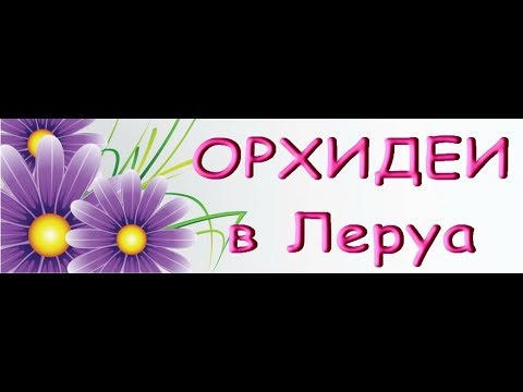 ЗАВОЗ прекрасных ОРХИДЕЙ в ЛЕРУА,есть Попугаи!15.11.19.