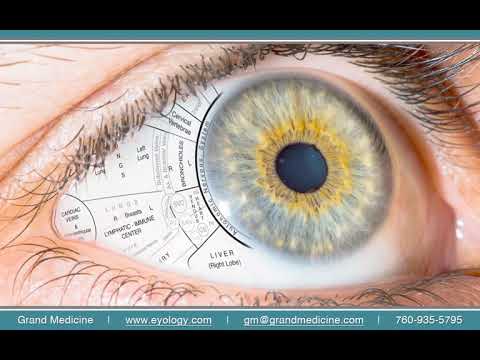 Iridology explained by Dr. Mehlmauer — watch on YouTube