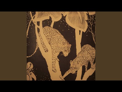 Video thumbnail for Oh, Honey