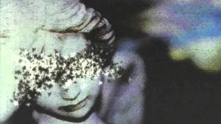 Pineapple Thief - This Will Remain Unspoken