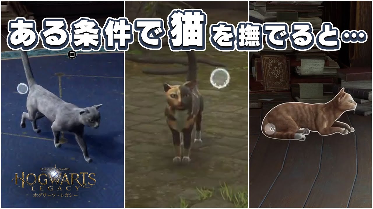 校内から猫を消し去るクソ呪文。ネコキエールをご紹介【ホグワーツレガシー】