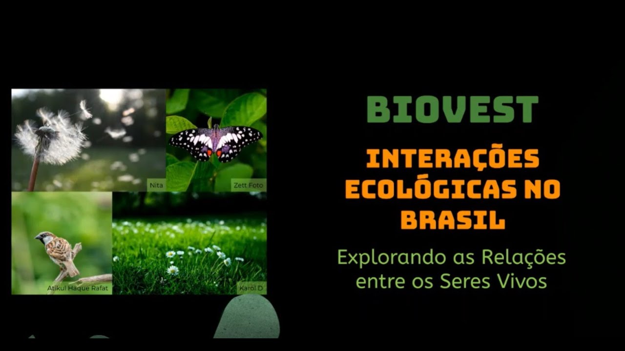 Interações Ecológicas no Brasil