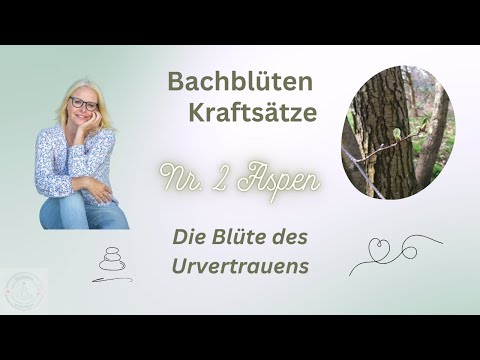 Bachblüten Kraftsätze für die Blüte des Urvertrauens Nr. 2 Aspen