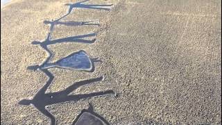 Samantha Grindley New Brighton Day Out Music By Oasis