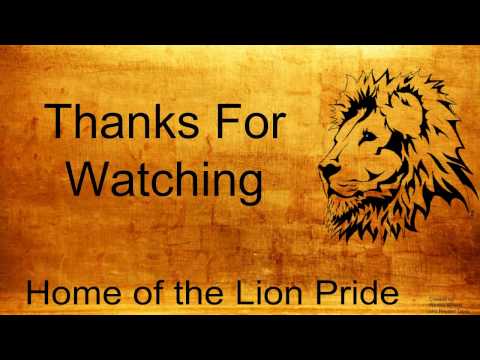 Lion's Roar Q3 February 2017