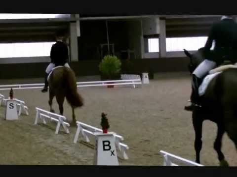 Fidertanz x Alabaster - 4j. Stute siegt in Dressurpferdeprfg. Kl. A mit der Note 8,3 ***for sale***