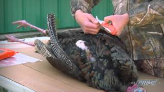 Easily Field Dress A Wild Turkey! How To Quickly Remove The Breast Meat (#231A) @GrowingDeer.tv