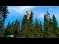 911 Call Plane Crash Stuck In A TREE