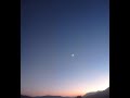 Devendra Banhart - Mi Negrita [ Spanish and English ]
