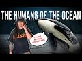 Why Are Orcas So Horrific? ft. Orcaman (That We Know Of) | Lindsay Nikole DEFAULT Thumbnail