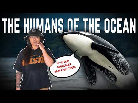 Why Are Orcas So Horrific? ft. Orcaman (That We Know Of) | Lindsay Nikole